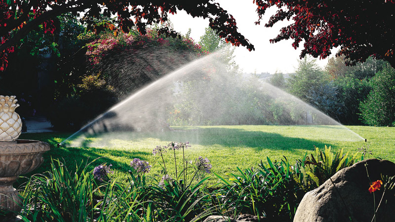 double-sprinkler double-sprinkler